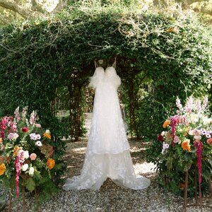 Calla Blanche, Blair 120210